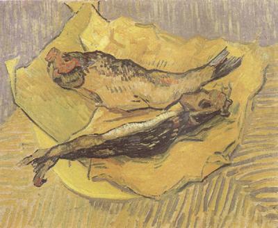 Crab on Its Back (nn04), Vincent Van Gogh